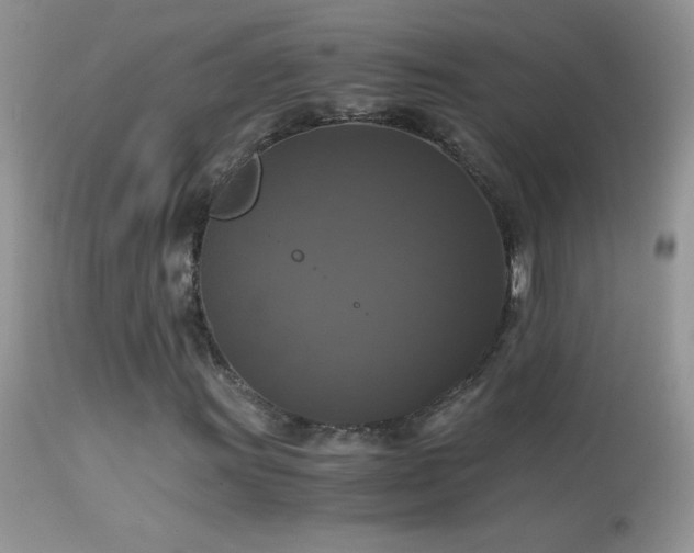X0000114641011200910201438
