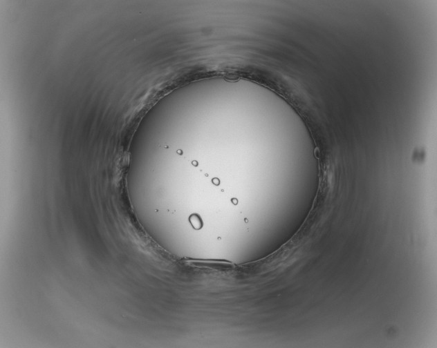 X0000114641012200910201438
