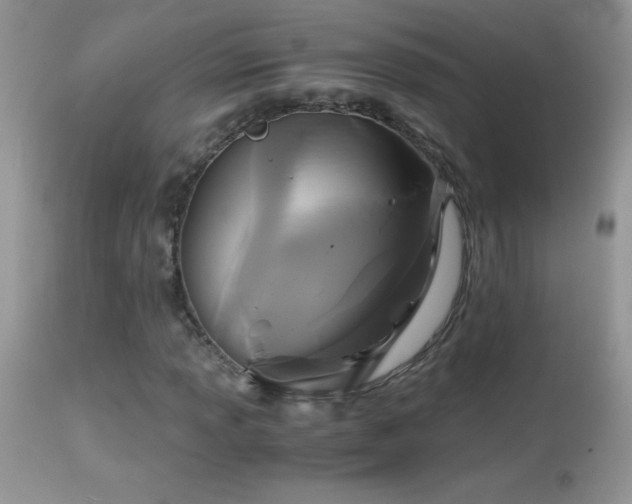X0000114641013200910201438