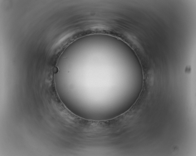 X0000114641015200910201438