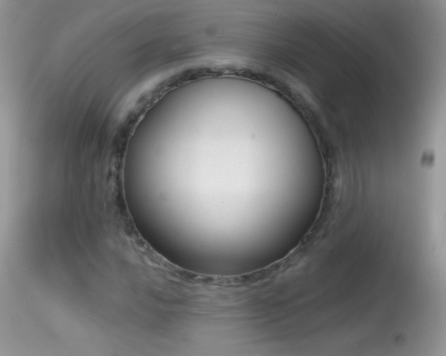 X0000114641016200910201438