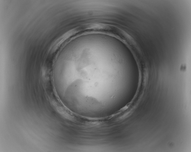 X0000114641017200910201438