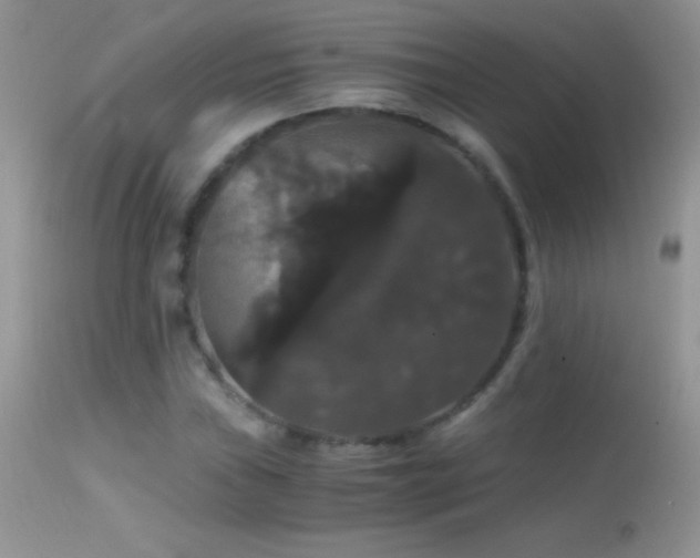 X0000114641019200910201438