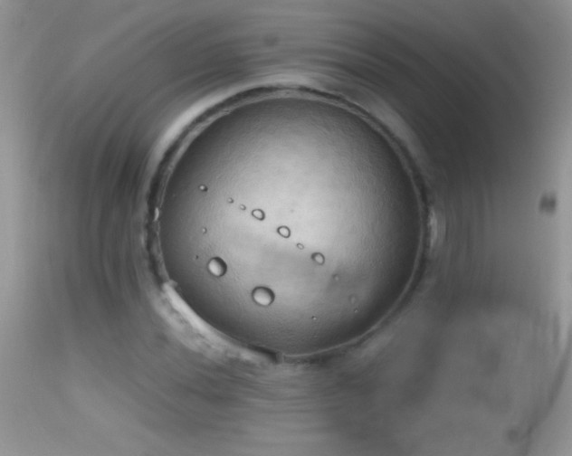 X0000114641020200910201438