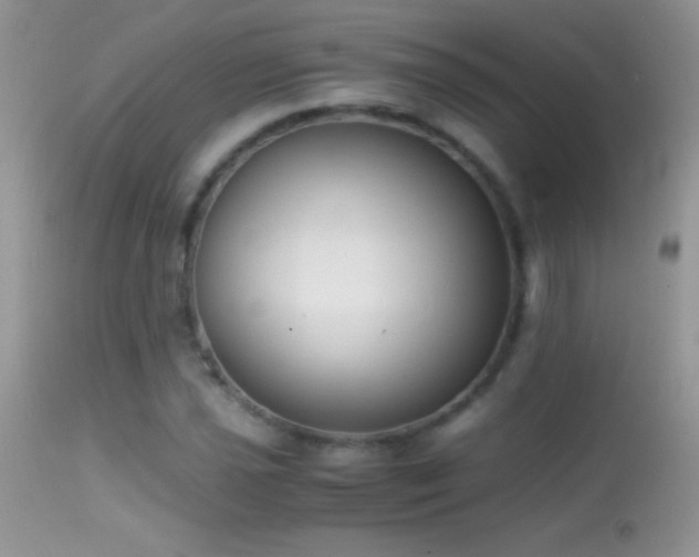 X0000114641021200910201438