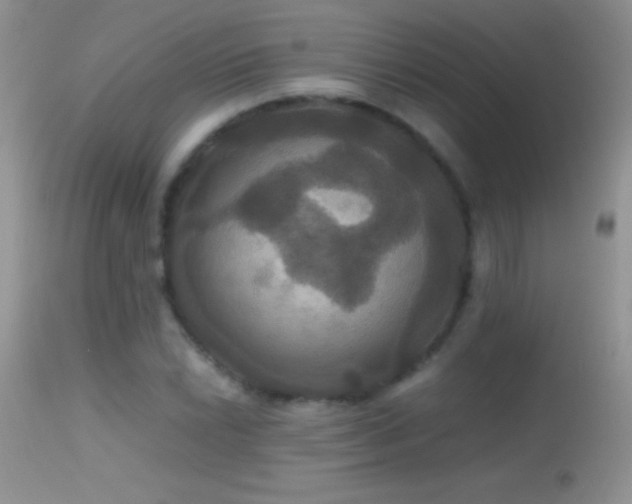 X0000114641022200910201438