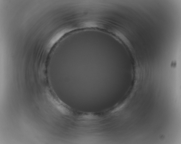 X0000114641023200910201438