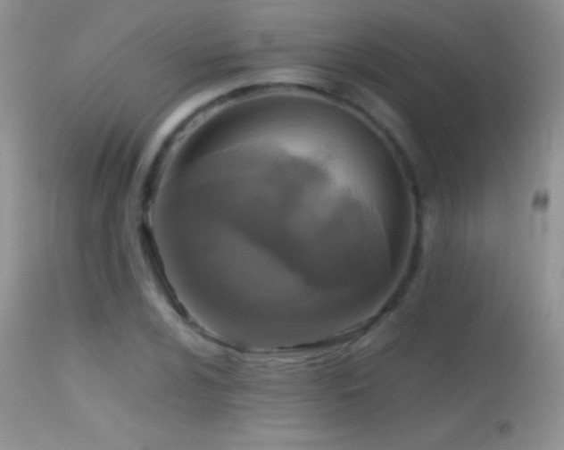 X0000114641024200910201438