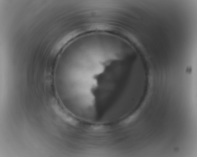 X0000114641025200910201438
