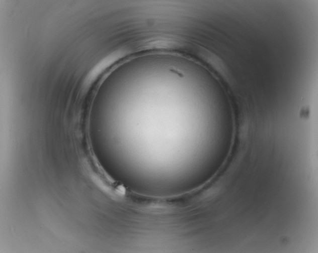 X0000114641026200910201438
