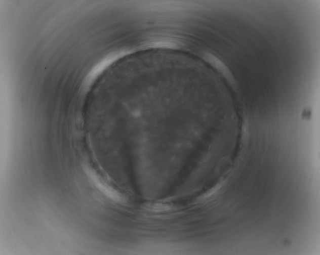 X0000114641027200910201438
