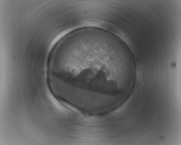 X0000114641028200910201438