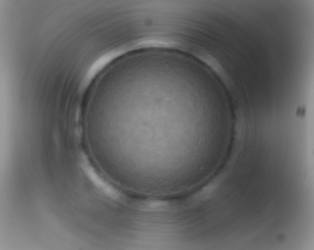 X0000114641030200910201438