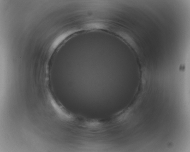 X0000114641031200910201438