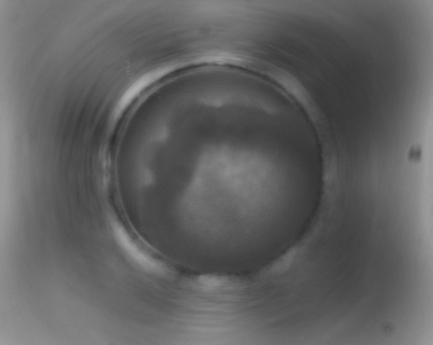 X0000114641032200910201438