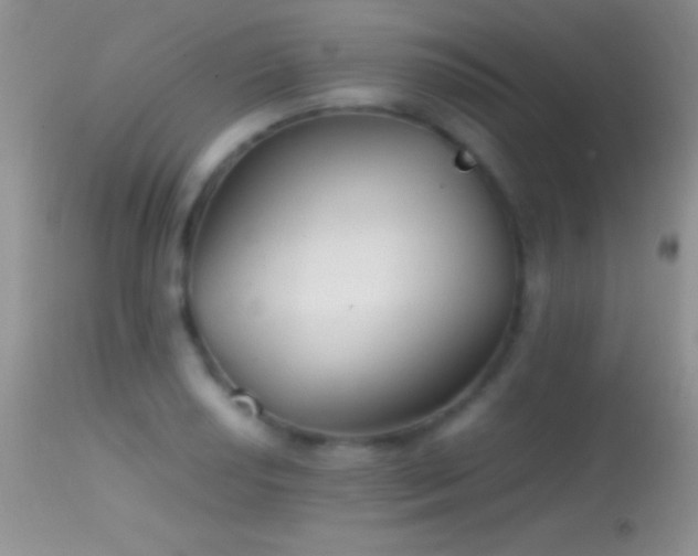 X0000114641034200910201438