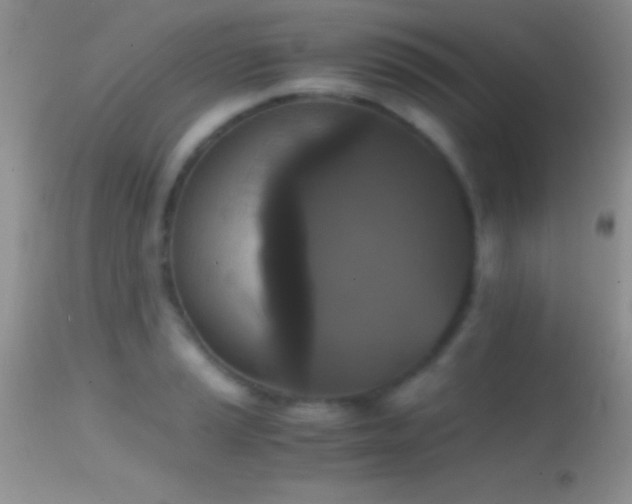X0000114641037200910201438