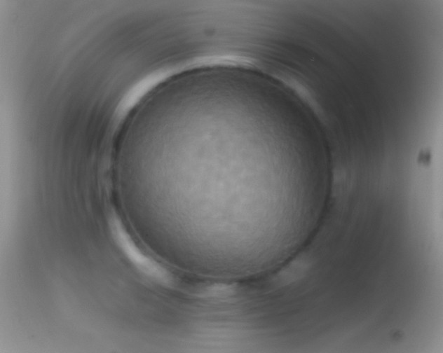 X0000114641038200910201438