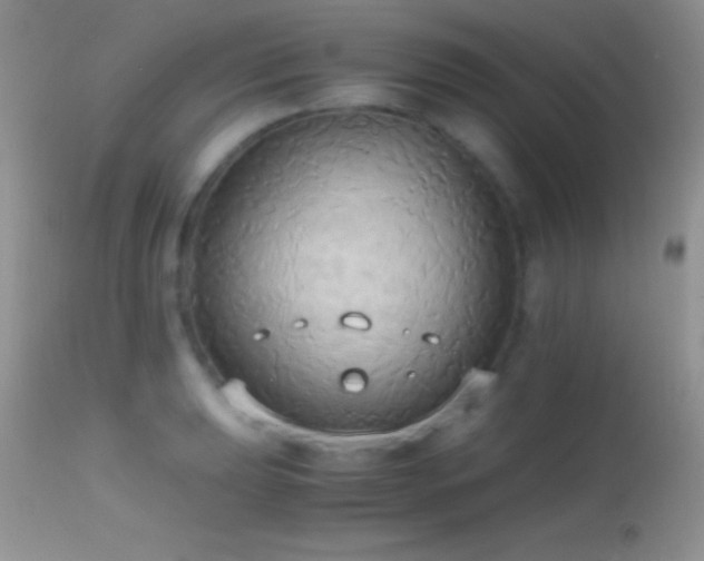X0000114641039200910201438