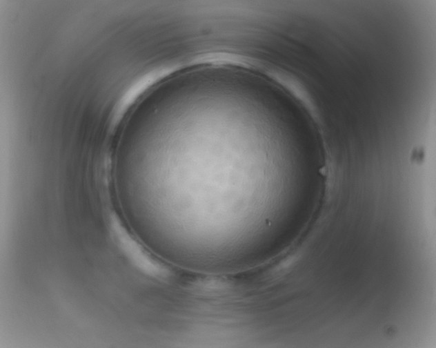 X0000114641040200910201438
