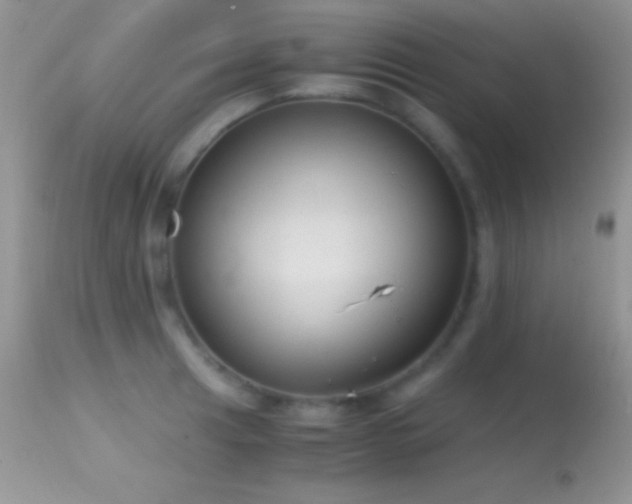 X0000114641041200910201438