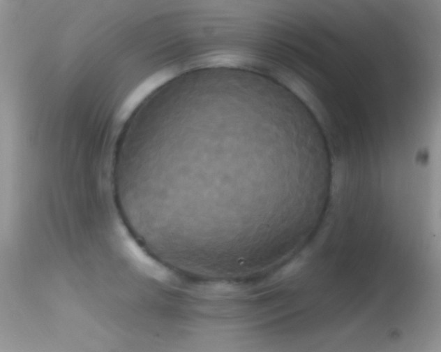 X0000114641042200910201438