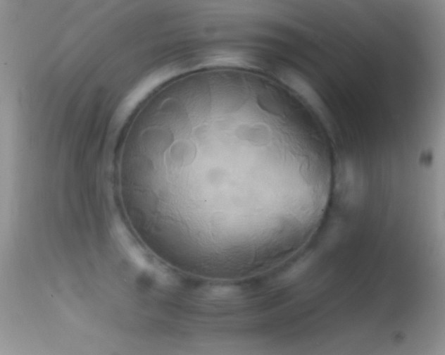 X0000114641043200910201438