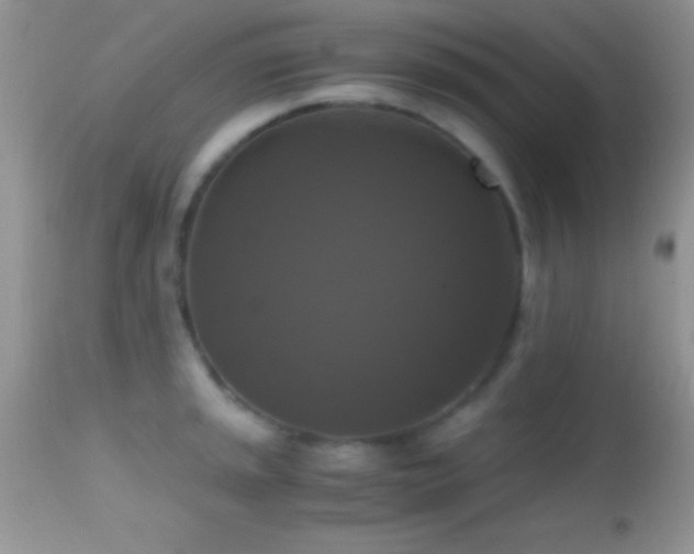 X0000114641045200910201438
