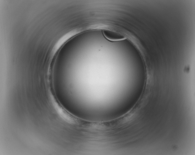 X0000114641050200910201438