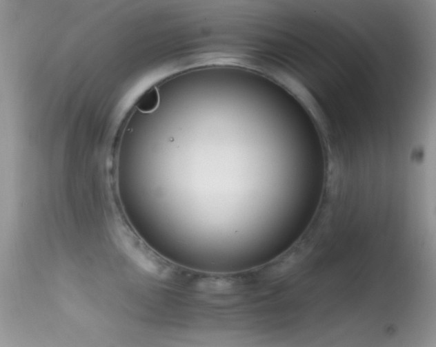 X0000114641051200910201438