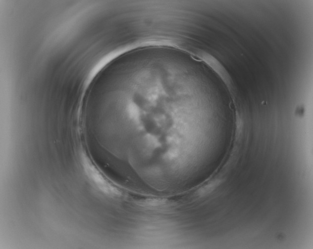 X0000114641052200910201438