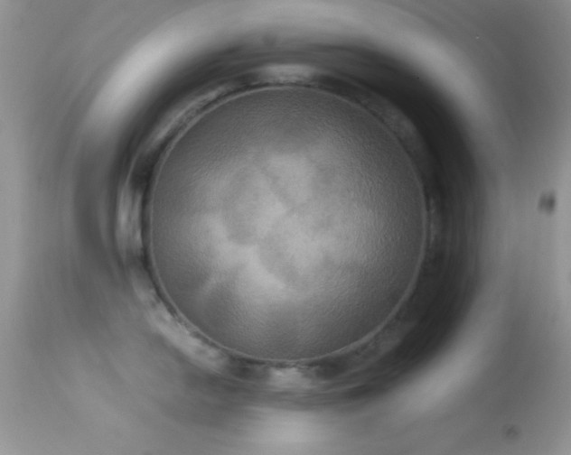 X0000114641054200910201438