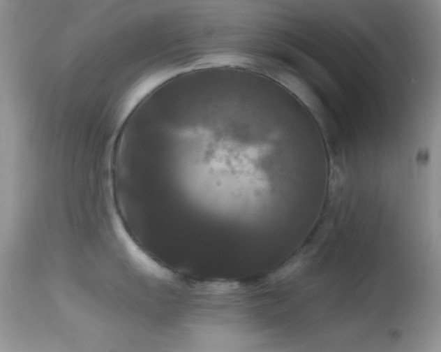 X0000114641055200910201438