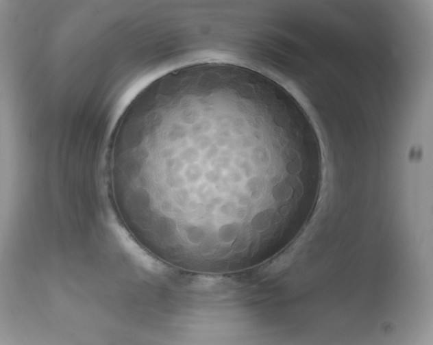 X0000114641056200910201438