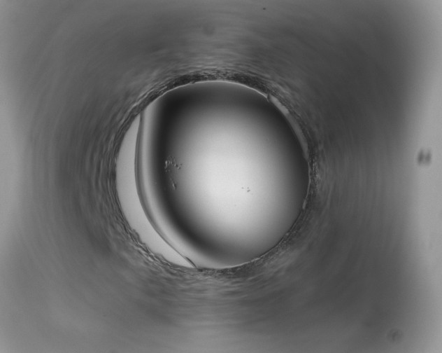 X0000114641057200910201438
