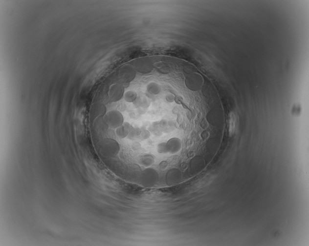 X0000114641059200910201438