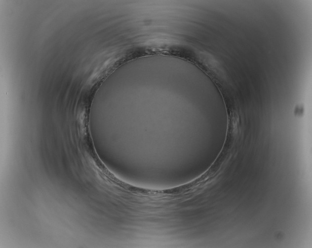 X0000114641060200910201438