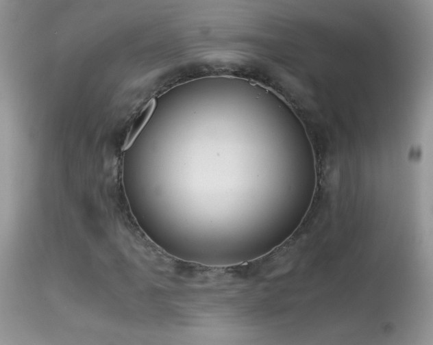 X0000114641061200910201438