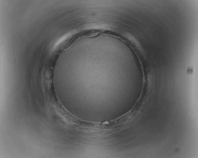 X0000114641064200910201438