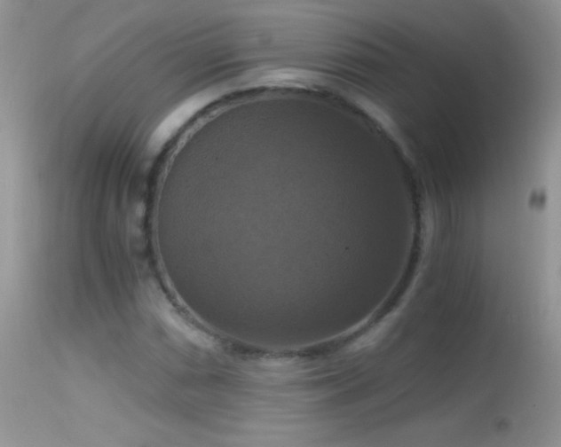 X0000114641066200910201438