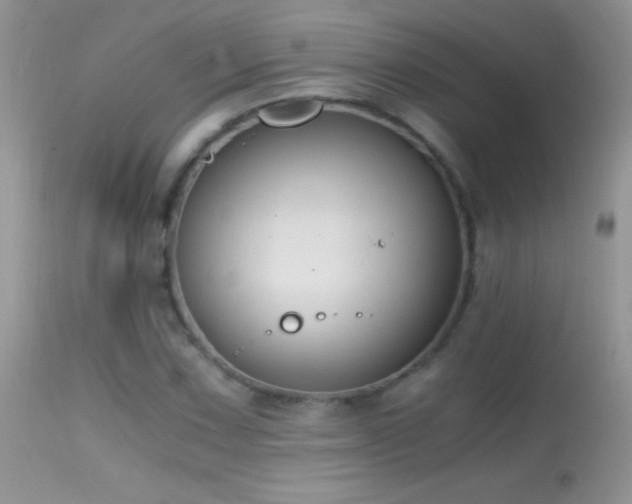 X0000114641067200910201438