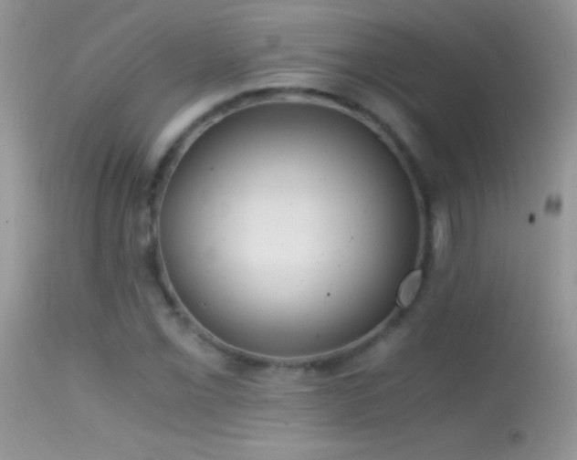 X0000114641069200910201438