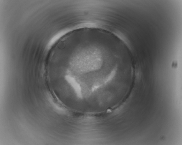 X0000114641070200910201438