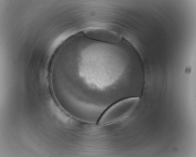 X0000114641072200910201438