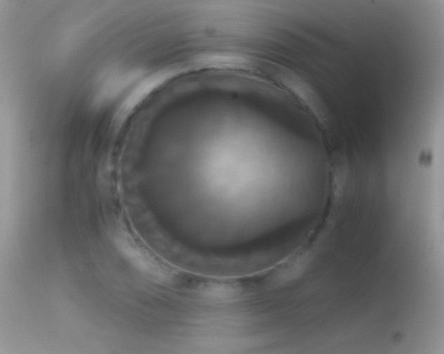 X0000114641074200910201438