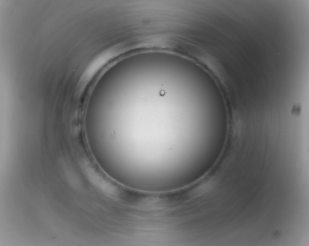 X0000114641075200910201438