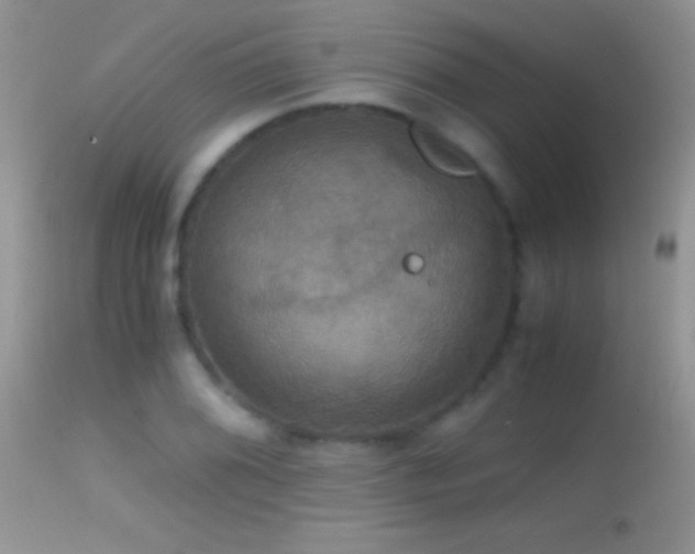 X0000114641076200910201438