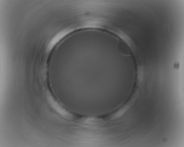 X0000114641077200910201438