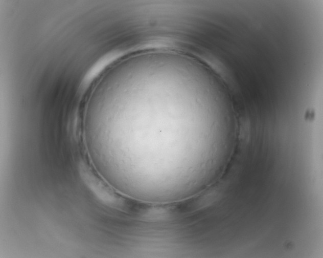 X0000114641078200910201438