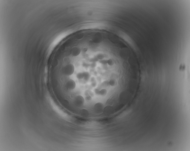 X0000114641079200910201438
